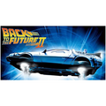 Aoshima  1:24th Scale Time Machine From Back To The Future Part 2