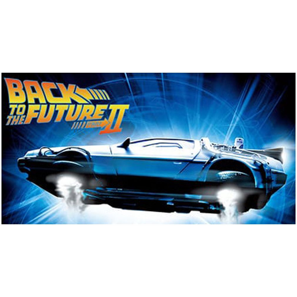 Aoshima  1:24th Scale Time Machine From Back To The Future Part 2