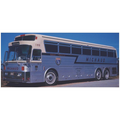 Iconic Replicas 1:87 Scale Eagle Model 05 Coach 1971: Michaud Trailways
