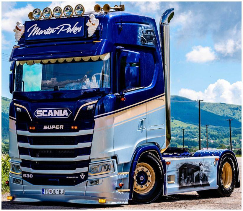 WSi 1:50 Scale Scania S Highline CS20H 4x2 Pakos