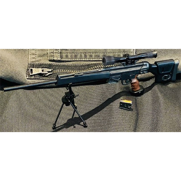 Dragon 1:6 Scale PSG-1 Semi-Auto Automatic Rifle