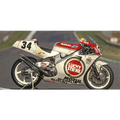 Nunu kits 1:12 Scale Suzuki RGV 500 1993 World Champion Moto 500