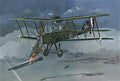 Roden Kits 1:48 Scale RAF Be 12b
