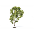 Hornby 1:76 Scale Birch Tree