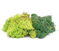 Hornby 1:76 Scale Lichen - Green Mix