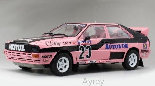 Sunstar 1:18 Scale Audi Quattro A1 No.23 Rallycross EM Frankreich 1987 C.Caly