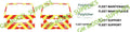 GM Model Supplies 1:76 Scale VW T5 Decal Conversion Kit 'Freightliner Fleet Livery'