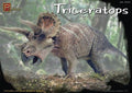 Pegasus 1:24 Scale Triceratops