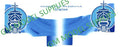 GM Model Supplies 1:76 Scale Scania Cab Decal Conversion Kit 'Graylaw Transport Livery'