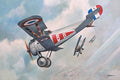 Roden Kits 1:72 Scale Nieuport 24bis