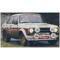 Vitesse  1:48th Scale Ford Escort RS1800 #2 H.Mikkola/A.Hertz Rallye du Condroz 1979 (999pcs)