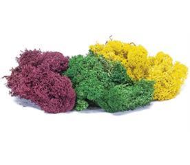 Hornby 1:76 Scale Lichen - Large Autumn Mix