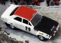 Trofeu 1:43 Scale Ford Escort Mk1 #29 Mc73 - Piot