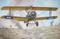 Roden Kits 1:72 Scale Sopwith T.F.1 Camel Trench Fighter