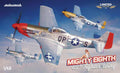 Eduard 1/48 Scale MIGHTY EIGHTH 65TH FIGTER WING