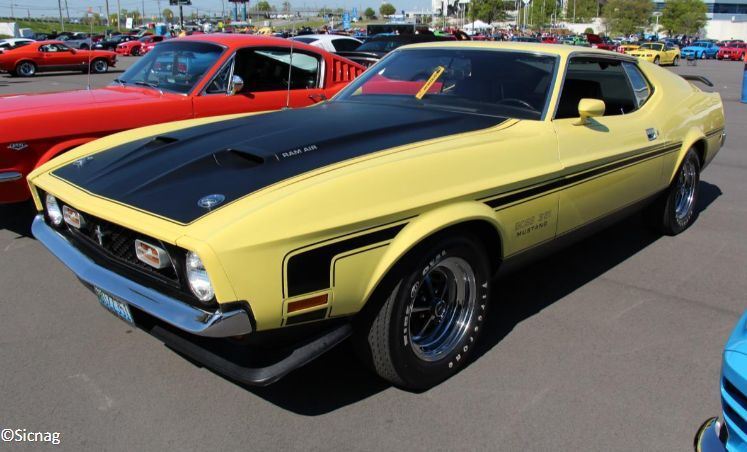Revell 1:25 Scale Mustang Boss 351 1971 Model Set