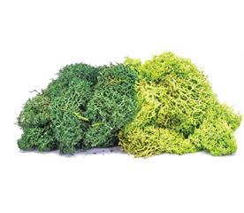 Hornby 1:76 Scale Lichen - Large Green Mix